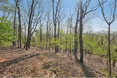 1041 Cox Mountain Drive, Big Canoe, GA 30143 - Photo 71