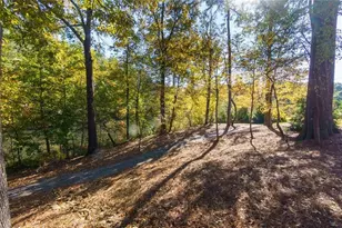 1002 Towneship Wy, Roswell, GA 30075 - Photo 43