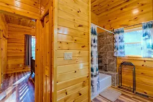 356 Mill Creek Acres, Blue Ridge, GA 30513 - Photo 59