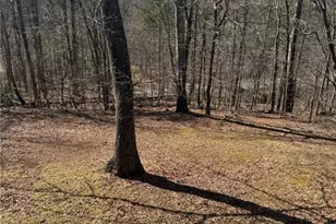 7089 Hwy 19 N, Dahlonega, GA 30533 - Photo 19