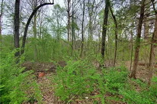 320 Brody Dr NE, Resaca, GA 30735 - Photo 21