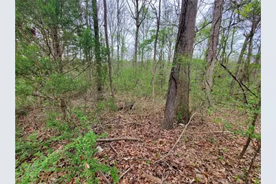 320 Brody Drive NE, Resaca, GA 30735 - Photo 27