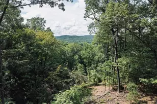 Lt 314 Pebble Trace, Talking Rock, GA 30175 - Photo 1