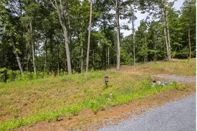 Lt 314 Pebble Trace, Talking Rock, GA 30175 - Photo 5