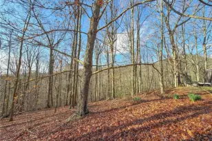 [Address not provided], Clermont, GA 30527 - Photo 5