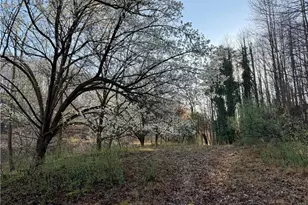 1565 Shoal Creek Road NW, Clermont, GA 30527 - Photo 7