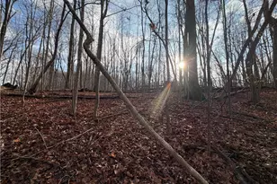 1565 Shoal Creek Road NW, Clermont, GA 30527 - Photo 11