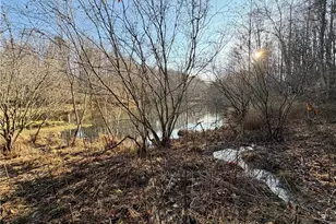 1565 Shoal Creek Road NW, Clermont, GA 30527 - Photo 3