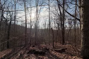 1565 Shoal Creek Road NW, Clermont, GA 30527 - Photo 15