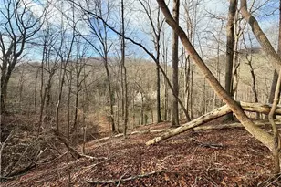 1565 Shoal Creek Road NW, Clermont, GA 30527 - Photo 19