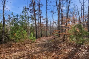 613 Abbington River Ln, Atlanta, GA 30339 - Photo 51