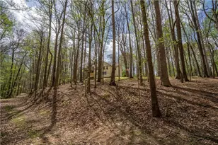 3724 Lexington Ct, Gainesville, GA 30504 - Photo 51