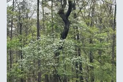 22 Blacksmith Lane NW, Cartersville, GA 30120 - Photo 5