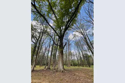 3386 Chandler Road, Good Hope, GA 30641 - Photo 93