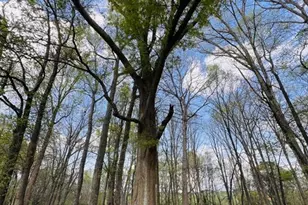 3386 Chandler Rd, Good Hope, GA 30641 - Photo 93