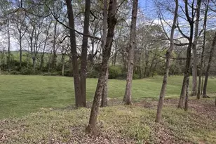 3386 Chandler Rd, Good Hope, GA 30641 - Photo 91