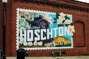 562 Winding Rose Dr, Hoschton, GA 30548 - Photo 133