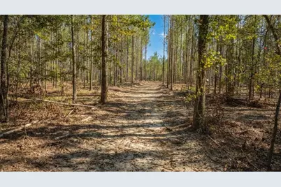 0 Livingston Rd SW, Rome, GA 30161 - Photo 7