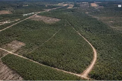 0 Long Ford, Jesup, GA 31546 - Photo 5