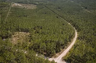 0 Long Ford, Jesup, GA 31546 - Photo 1