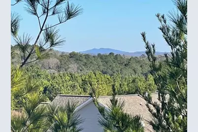 419 Canyon Creek Landing, Canton, GA 30114 - Photo 39