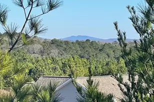 419 Cyn Crk Lndg, Canton, GA 30114 - Photo 39