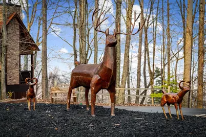 176 Katahdin Drive, Mineral Bluff, GA 30559 - Photo 27