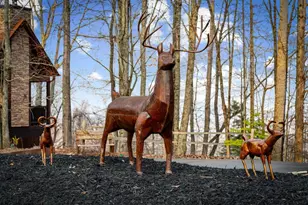 176 Katahdin Dr, Mineral Bluff, GA 30559 - Photo 27