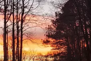 403 N Stringer Road N, Canton, GA 30115 - Photo 35