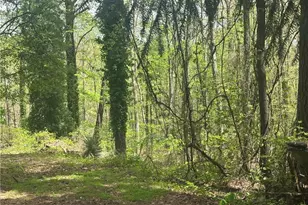 4194 Yancey Rd, Douglasville, GA 30135 - Photo 3