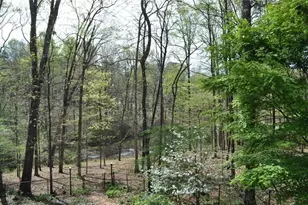 731 Hidden Lakes Trail, Jefferson, GA 30549 - Photo 53