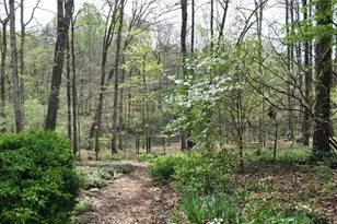 731 Hidden Lakes Trail, Jefferson, GA 30549 - Photo 57