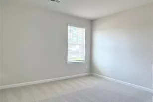 2909 Sweet Red Cir, Braselton, GA 30517 - Photo 19