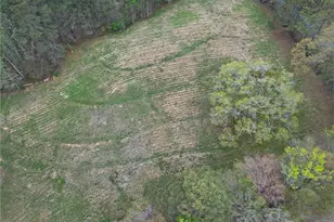 3590 Roosterville Rd, Roopville, GA 30170 - Photo 59