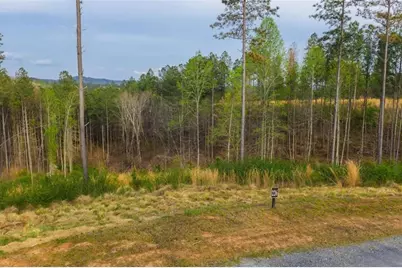 Lt 226 West Vista Ridge Parkway, Talking Rock, GA 30175 - Photo 7