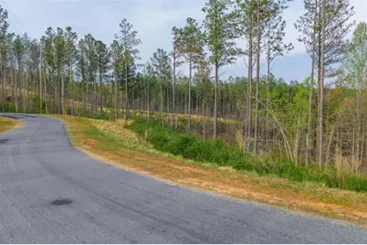 Lt 226 West Vista Ridge Parkway, Talking Rock, GA 30175 - Photo 5