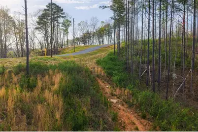 Lt 226 West Vista Ridge Parkway, Talking Rock, GA 30175 - Photo 11