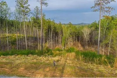 Lt 226 West Vista Ridge Parkway, Talking Rock, GA 30175 - Photo 1