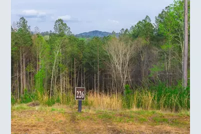 Lt 226 West Vista Ridge Parkway, Talking Rock, GA 30175 - Photo 7