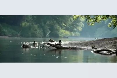 2560 Links End, Roswell, GA 30076 - Photo 63