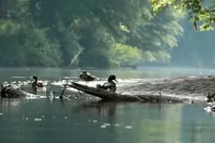 2560 Links End, Roswell, GA 30076 - Photo 63