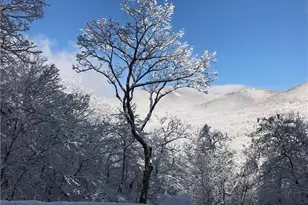 115 Chestnut Oak Point, Big Canoe, GA 30143 - Photo 45