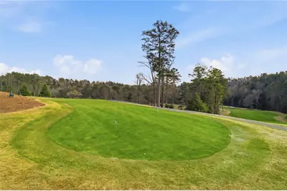 115 Chestnut Oak Point, Big Canoe, GA 30143 - Photo 53