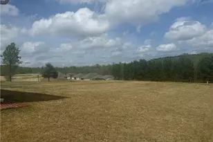 139 Swallowtail Ln, Homer, GA 30547 - Photo 33