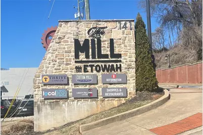 233 Legacy Downs Drive, Canton, GA 30115 - Photo 45