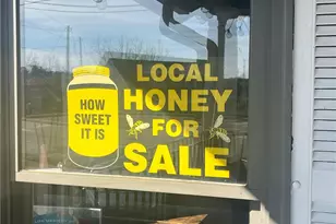 233 Legacy Downs Dr, Canton, GA 30115 - Photo 35