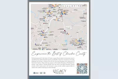 233 Legacy Downs Drive, Canton, GA 30115 - Photo 7