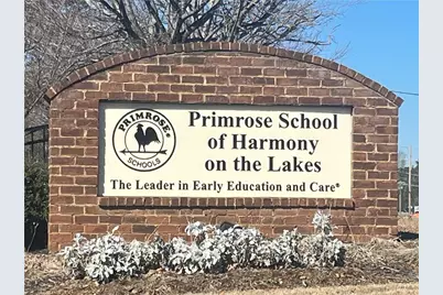 233 Legacy Downs Drive, Canton, GA 30115 - Photo 43