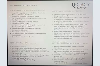 233 Legacy Downs Drive, Canton, GA 30115 - Photo 9