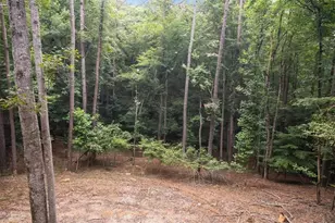 129 Monticello Dr, Ellijay, GA 30540 - Photo 45